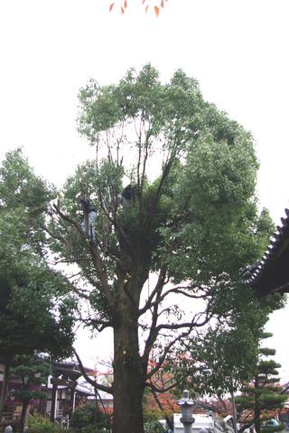 2010-01-17 22:26:09