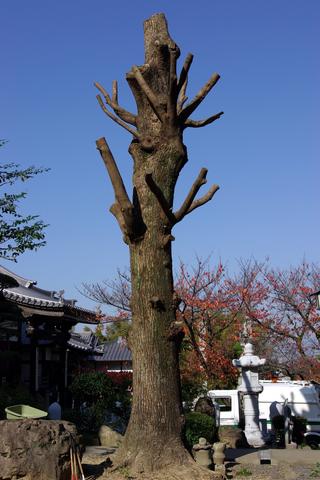 2010-01-17 22:46:22