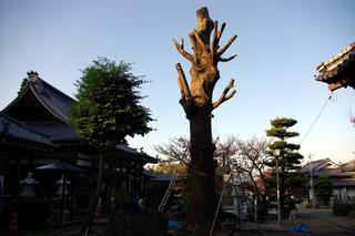 2010-01-17 22:38:44