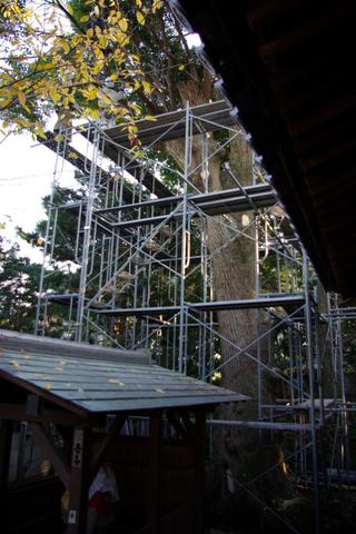 2010-01-17 22:39:46