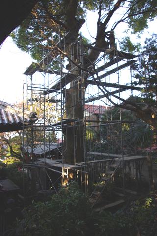 2010-01-17 22:42:11