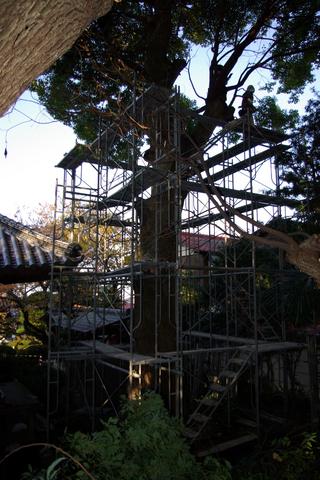2010-01-17 23:04:55