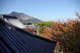 2010-01-17 22:44:17